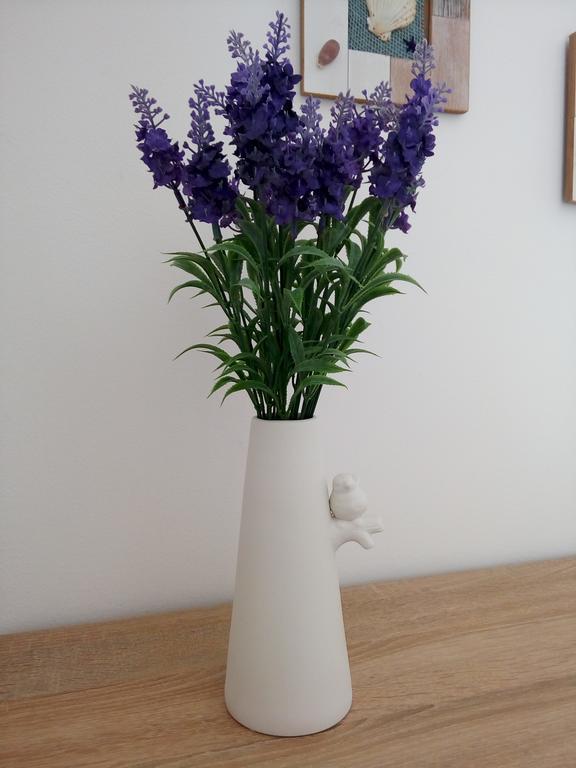 Apartment Angelika ซริกเวนิซา ภายนอก รูปภาพ